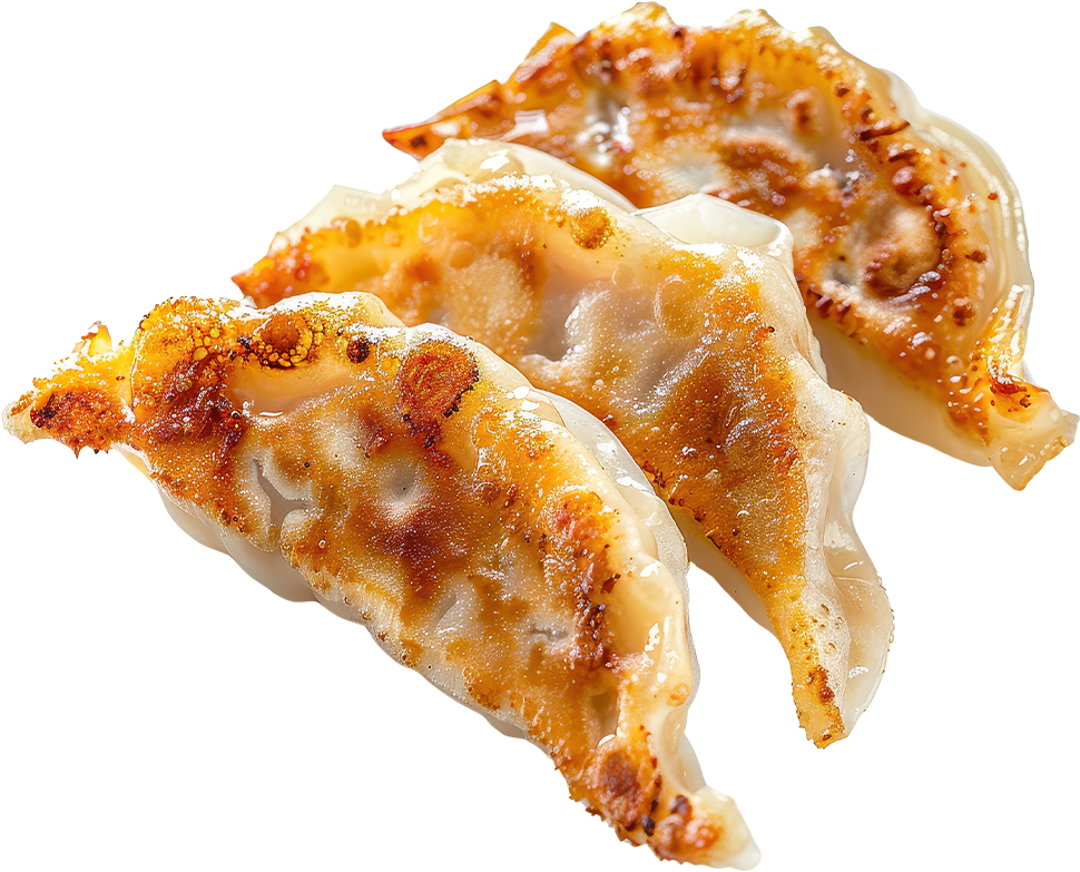 香ばしい焼き目の餃子